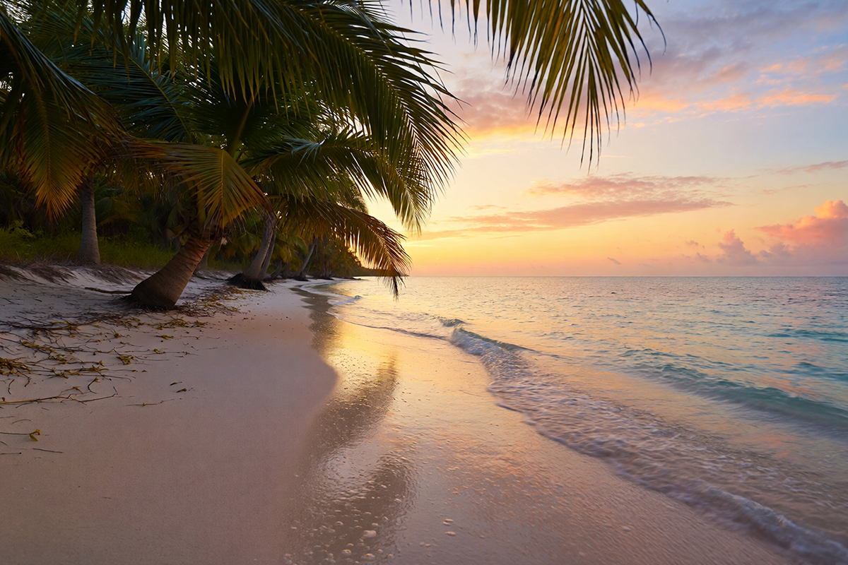 Ready to become an island castaway? I can help with that!