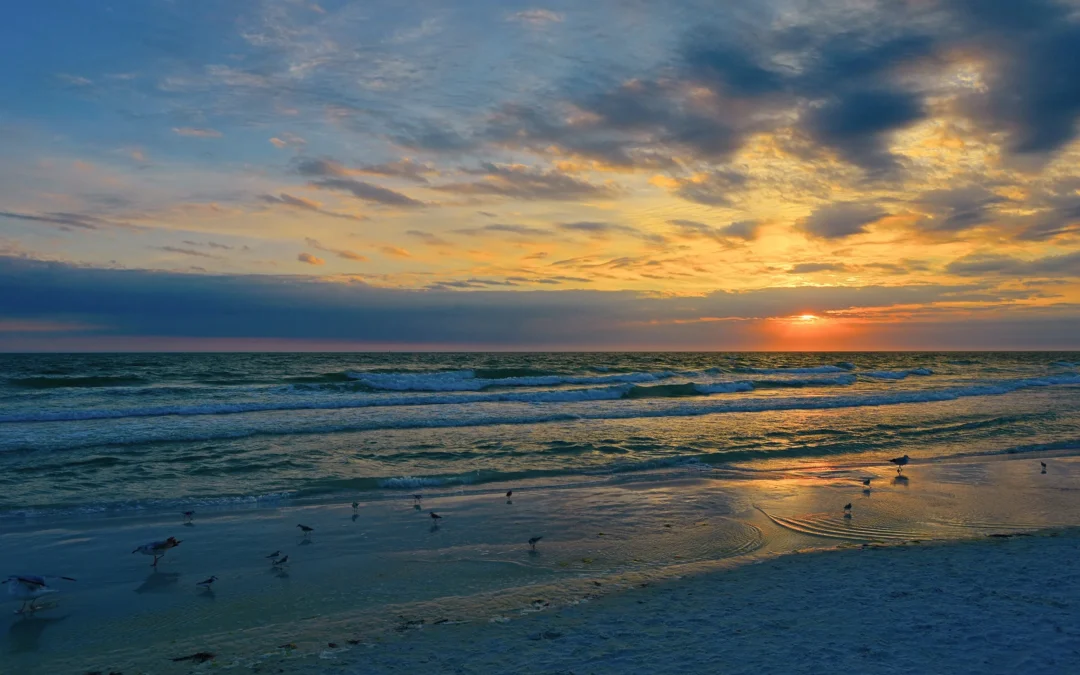 Sunset over the beach in Venice, Florida, with gentle waves and seagulls on the shore, highlighting the coastal lifestyle and natural beauty of the area.