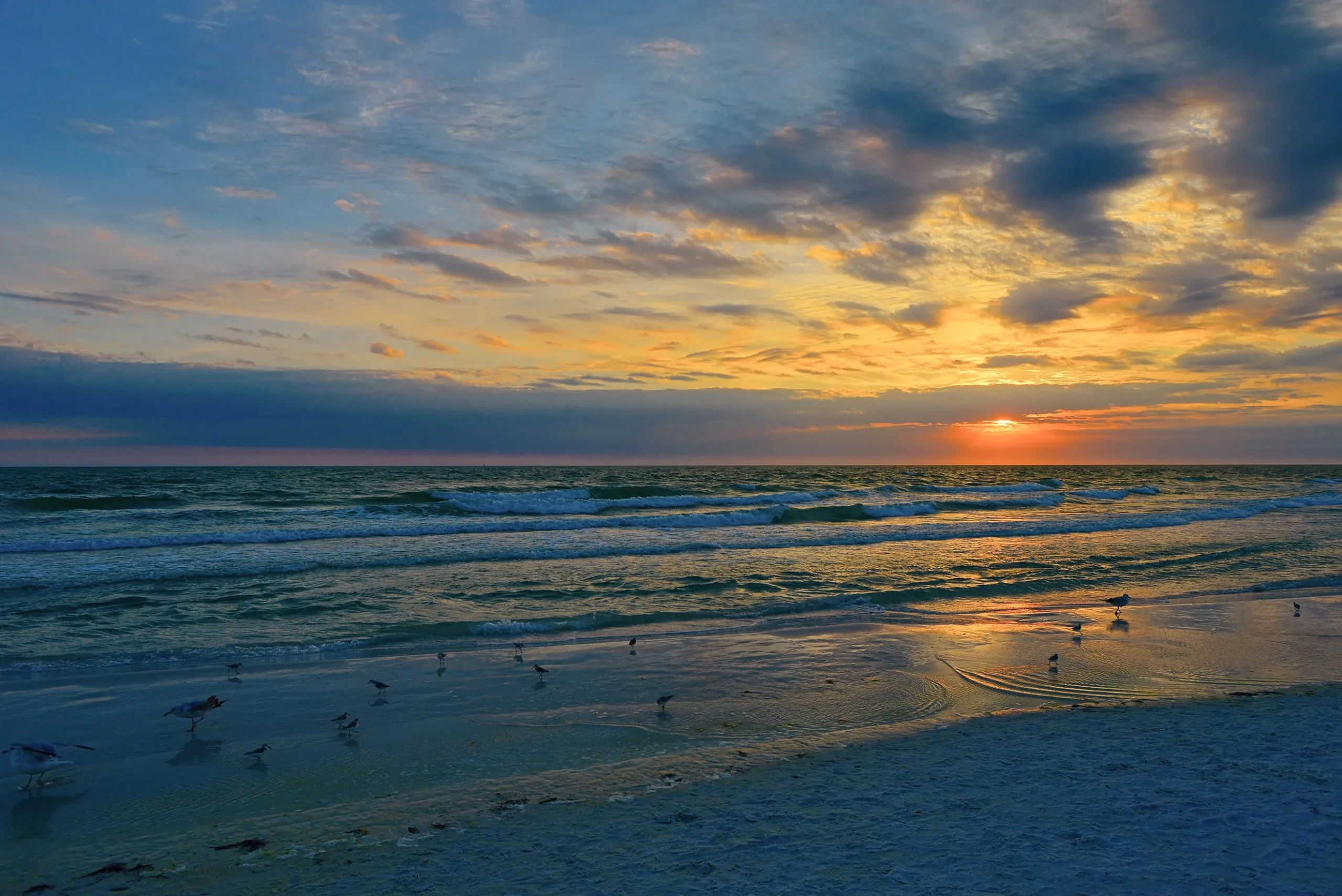 Sunset over Venice Beach, Florida, with vibrant orange and blue skies reflecting on the water, gentle waves lapping at the shore, and seagulls walking along the sandy beach.
